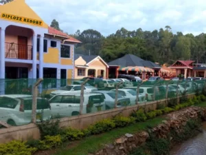 Facts about Diplozz Resort