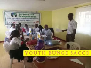 List of Youth Bunge Saccos